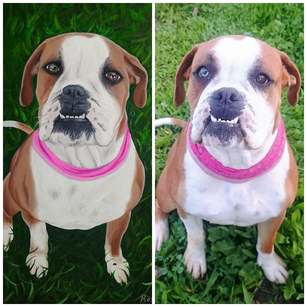 70216155_565932250611499_8737876853634629632_o